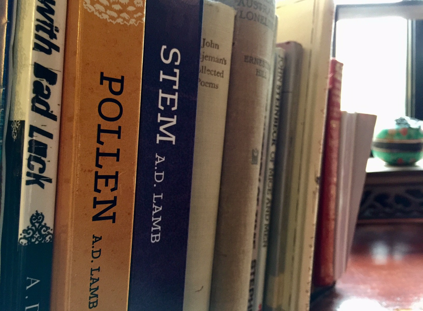 book shelf with pollen and stem by Aaron Lamb